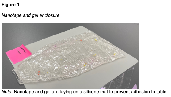 lower extremity - figure 1