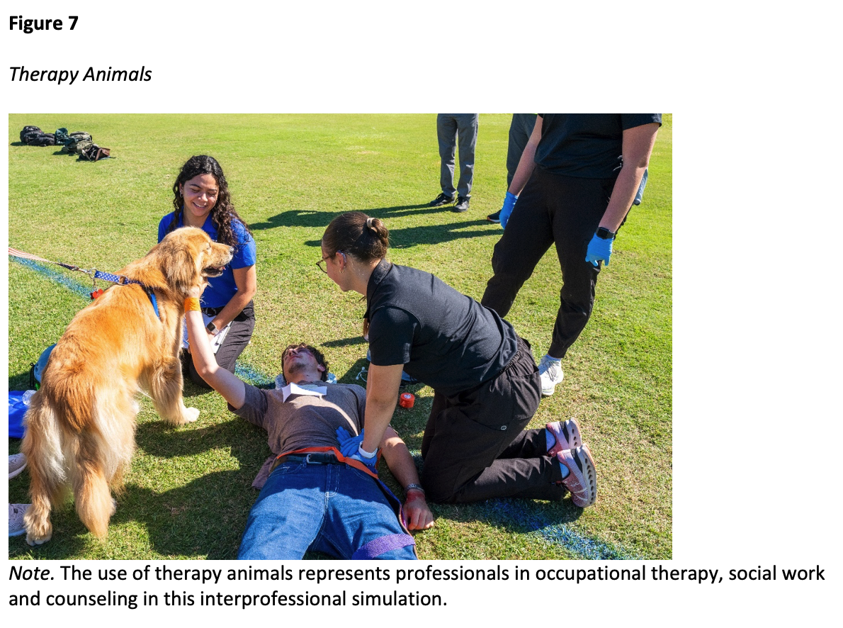 Therapy Animals