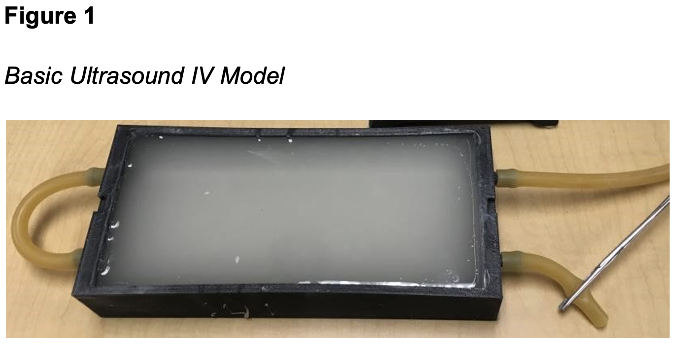 Basic Ultrasound IV Model