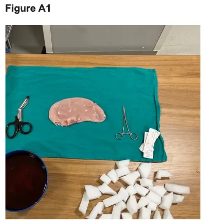 Construction of an Animal-Alternative Liver Model Figure a1