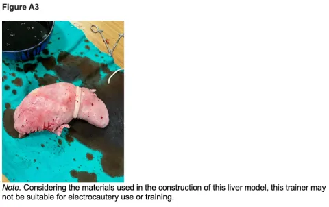 Construction of an Animal-Alternative Liver Model Figure a3